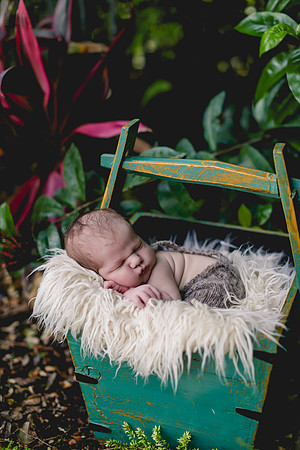 Brooks Newborn (26 of 64)