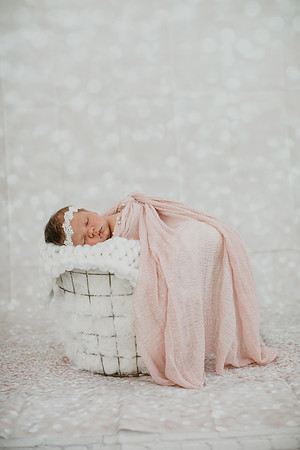 Rhema Newborn Portraits-1