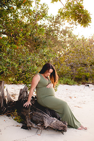 Samantha Maternity Portraits-20