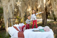 Nicol Family Christmas Mini