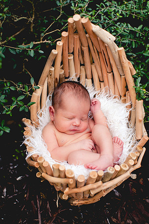 Carina newborn pictures-13