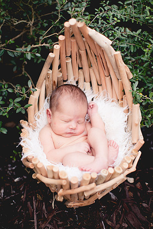 Carina newborn pictures-15
