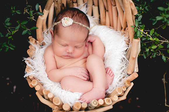 Carina newborn pictures-16