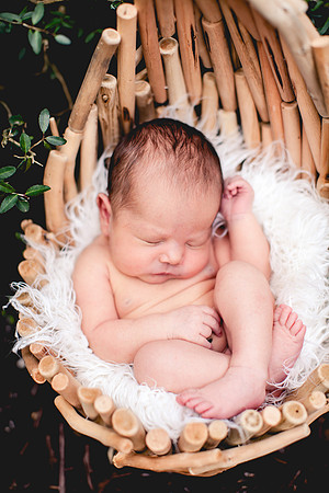 Carina newborn pictures-14