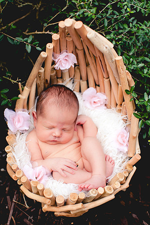 Carina newborn pictures-19