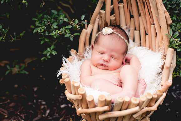 Carina newborn pictures-17