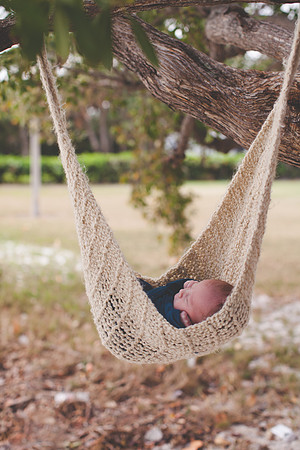 Hudson Newborn Portraits (1 of 40)