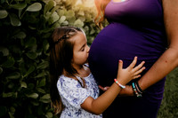 Lisa's Maternity Portriats
