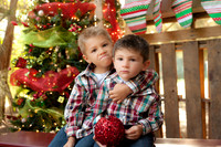 Goldstein Holiday Mini Session