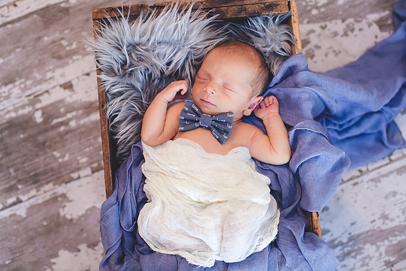 Lane Newborn Portraits-17