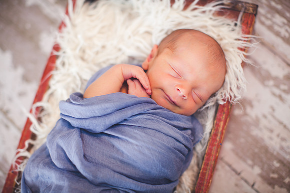 Lane Newborn Portraits-7