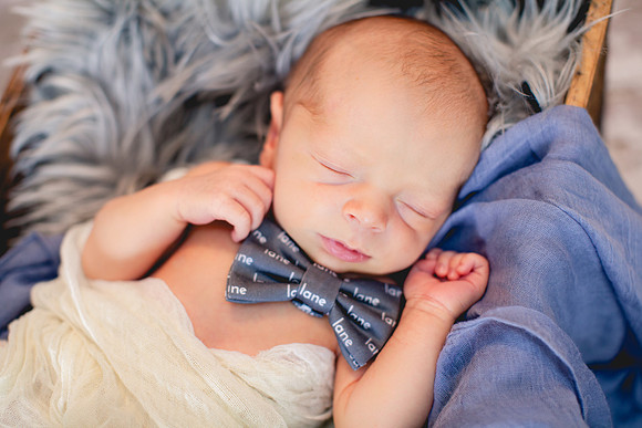 Lane Newborn Portraits-9
