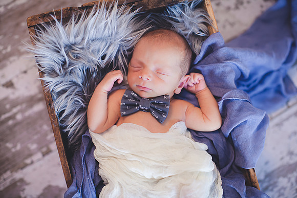 Lane Newborn Portraits-18