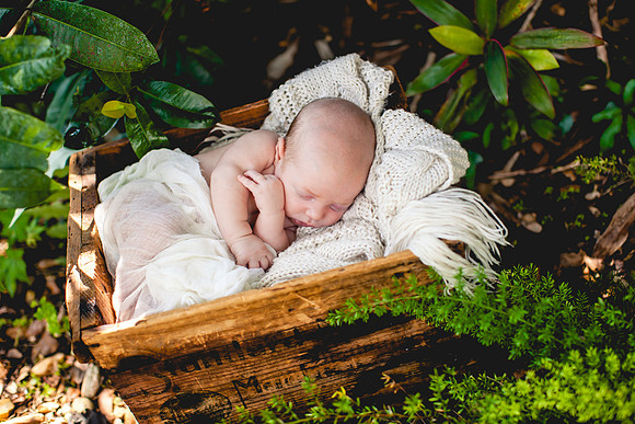 Fitz Newborn Portraits-10