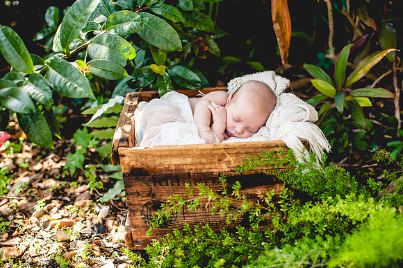 Fitz Newborn Portraits-6