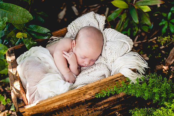 Fitz Newborn Portraits-11