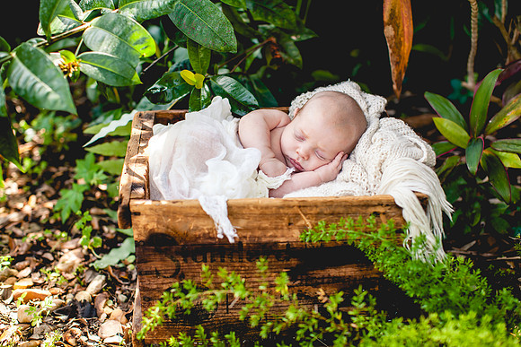 Fitz Newborn Portraits-5