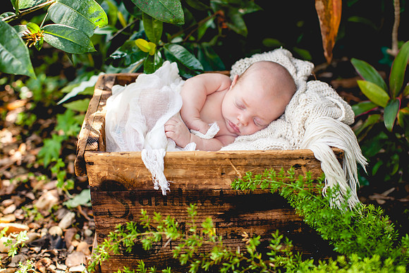 Fitz Newborn Portraits-4