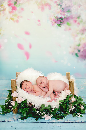Malerie's twins (13 of 33)