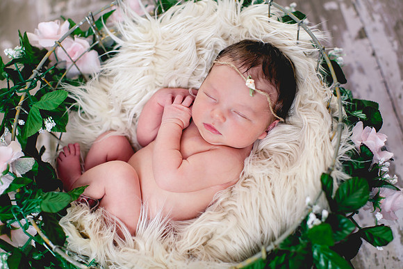 Grace Newborn Portraits (3 of 41)