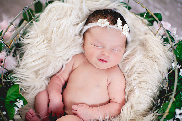 Grace Newborn Portraits (7 of 41)