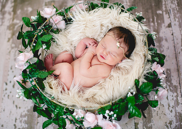 Grace Newborn Portraits (4 of 41)