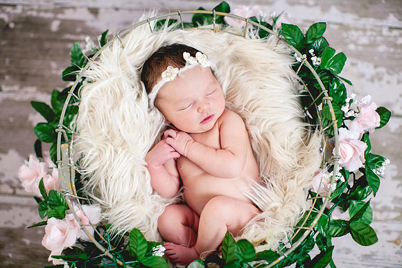 Grace Newborn Portraits (6 of 41)