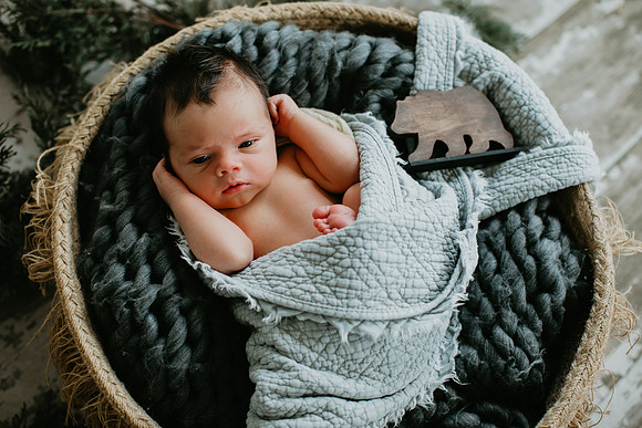 Baby Bear Newborn Portraits (2 of 95)