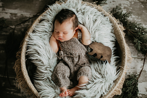 Baby Bear Newborn Portraits (12 of 95)