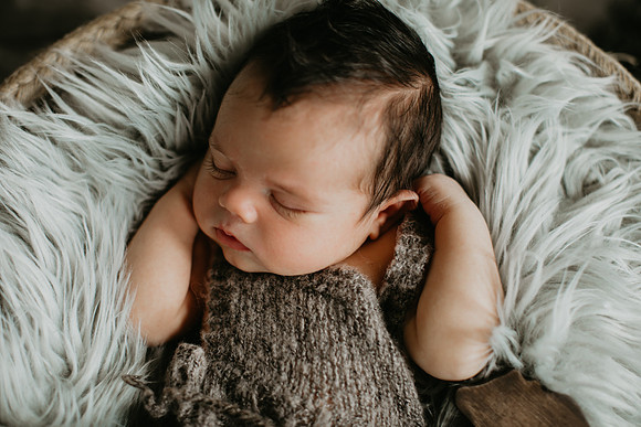 Baby Bear Newborn Portraits (13 of 95)