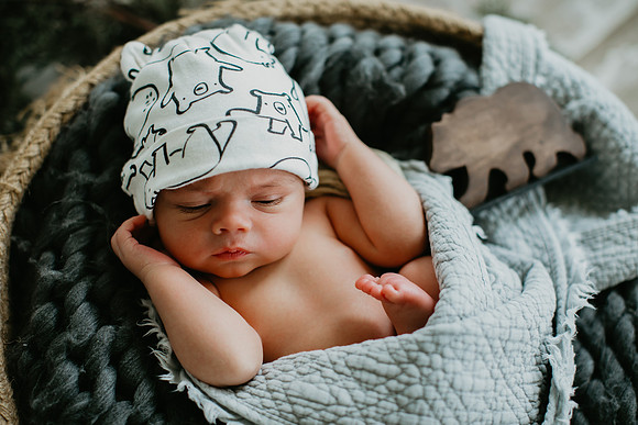 Baby Bear Newborn Portraits (6 of 95)