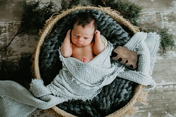 Baby Bear Newborn Portraits (3 of 95)