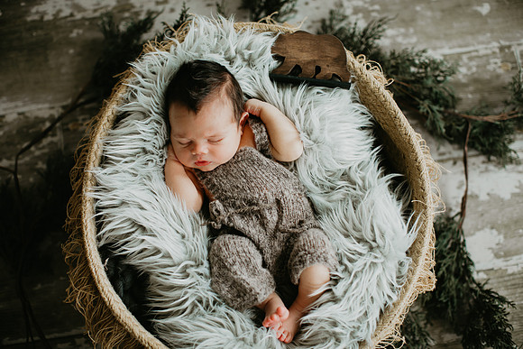 Baby Bear Newborn Portraits (7 of 95)