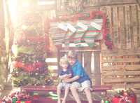 Burke Holiday Mini Session