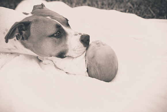 Asher (35 of 59)