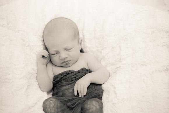 Cole (12 of 58)