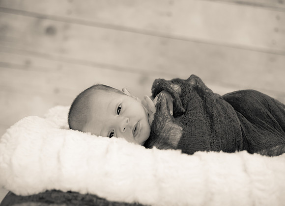 Cole (7 of 58)