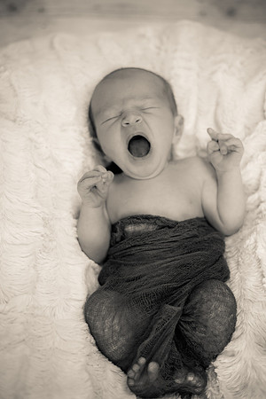 Cole (9 of 58)