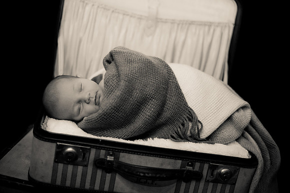 Cole (24 of 58)