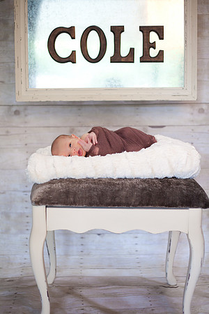 Cole (4 of 58)