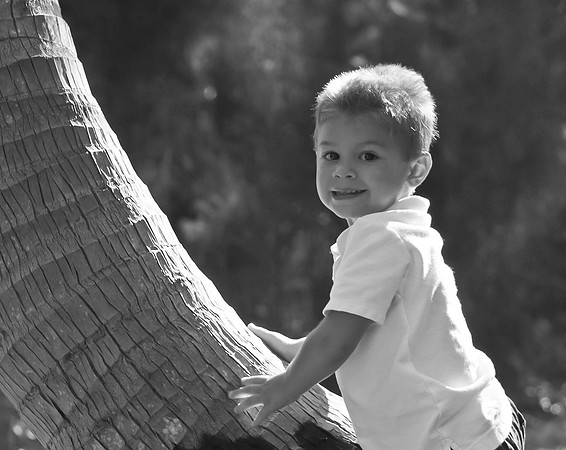 Goldstein Family Edit (42 of 130)