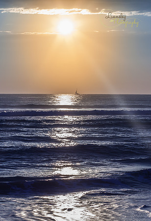 Hobe Sound Beach-4