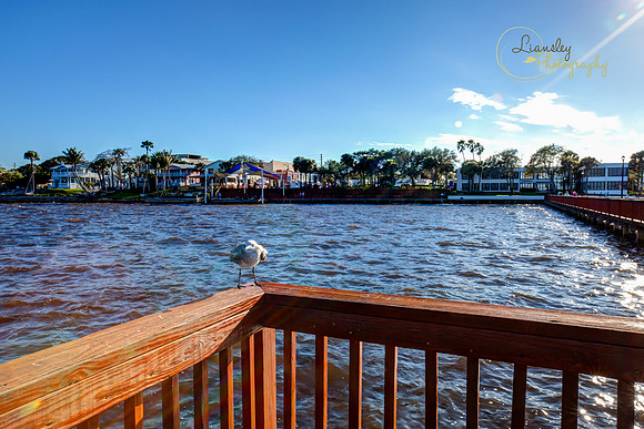 Downtown Stuart