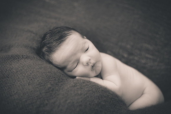 Brody (3 of 82)