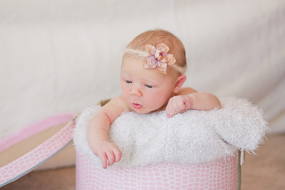 Baby Kloe Newborn (31 of 88)