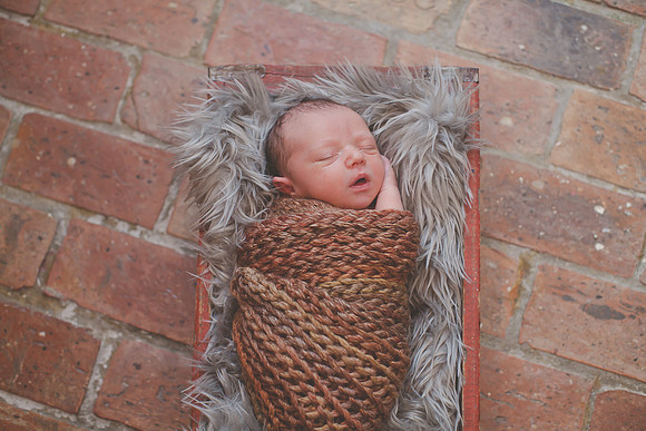 Baby Logan (31 of 59)