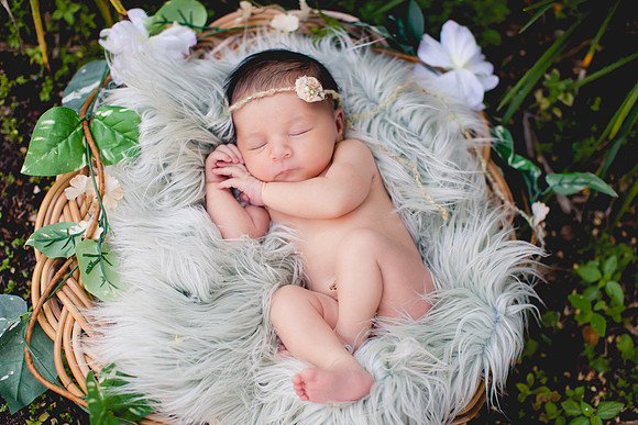Baby Eva Newborn Portraits (1 of 29)