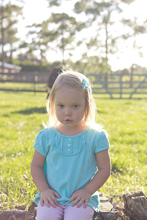 Hoekstra Family Edit-2