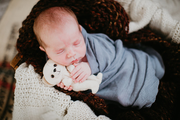 Levi Newborn Portraits-1