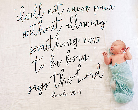 Liam Newborn Portraits-11